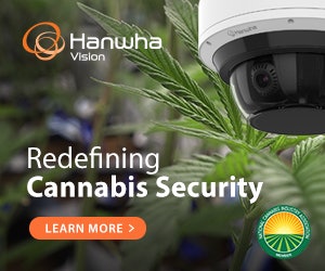 Advertisment: Hanwha Vision » Hanwha Vision Order 78 » CBT ROS 300x250 Medium Rectangle July 2025 » D53_Cannabis-Business-Times_300x250_v1