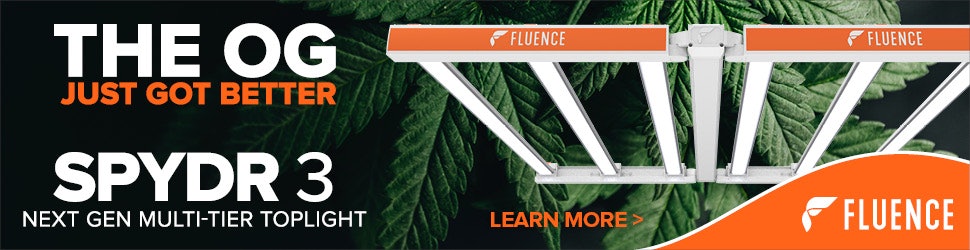 Advertisment: Fluence » Fluence Order 95 » CBT ROS Banner 970x250 - Start June 18 » FLU-DBA_SPYDR3_970 x 250