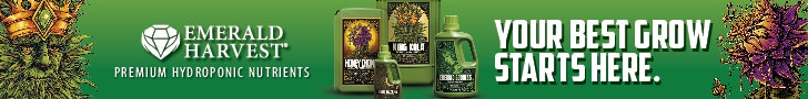 Advertisment: Emerald Harvest » Emerald Harvest Order 115 » CBT ROS Leaderboard Ad 728x90 July 2025 » EH_360_web_banner_728x90