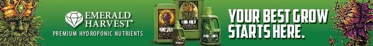 Advertisment: Emerald Harvest » Emerald Harvest Order 115 » CBT ROS Leaderboard Ad 728x90 September 2025 » eh-360-web-banner-728x90