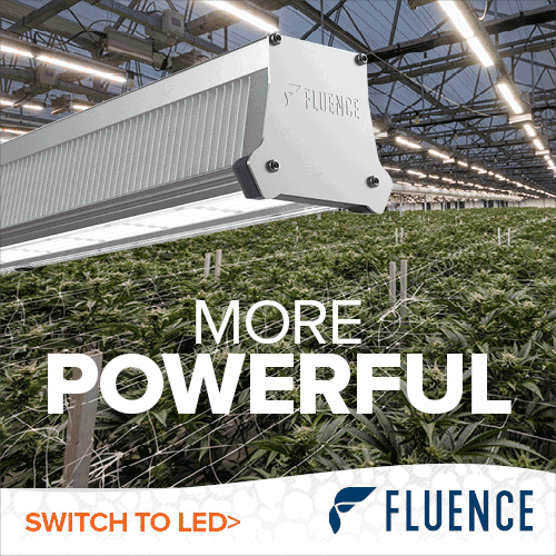 Advertisment: Fluence » Fluence Order 95 » CBT ROS Lightbox 500x500 » FLU-DBA_VYPR4_Cannabis_More_500-x-500.gif