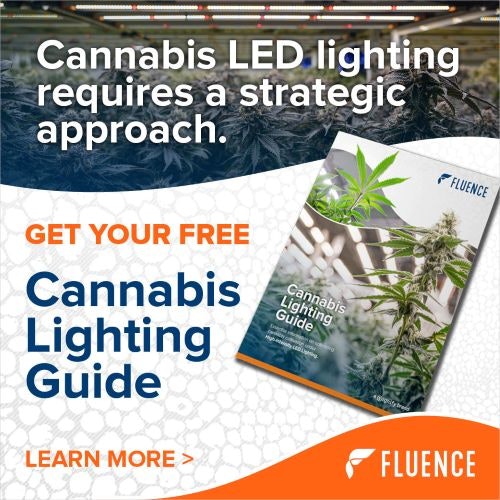 Advertisment: Fluence » Fluence Order 95 » CBT ROS 500x500 Lightbox Nov 2025 » FLU-DBA-LightingGuide_500x500